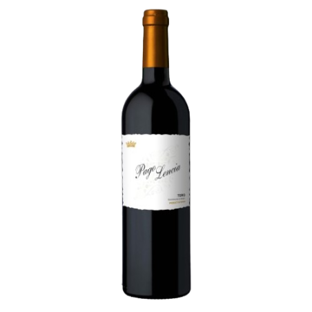 Pago Lencia 2019 AOP Toro Vin d'Espagne